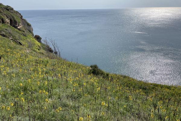 Black Sea near the Cape Kaliakra