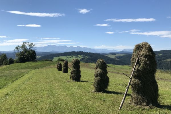 Looking at the Tatra Mountains from Sromowce Wyzne
