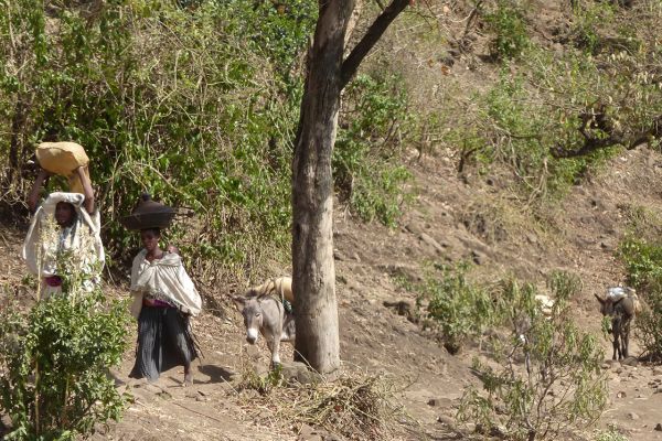 Life in rural Ethiopia has continued virtually unchanged for millennia