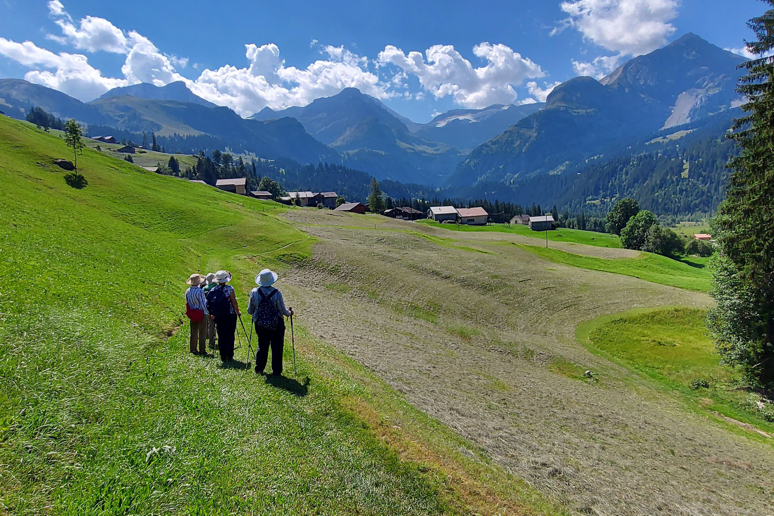 Gstaad walk 2024