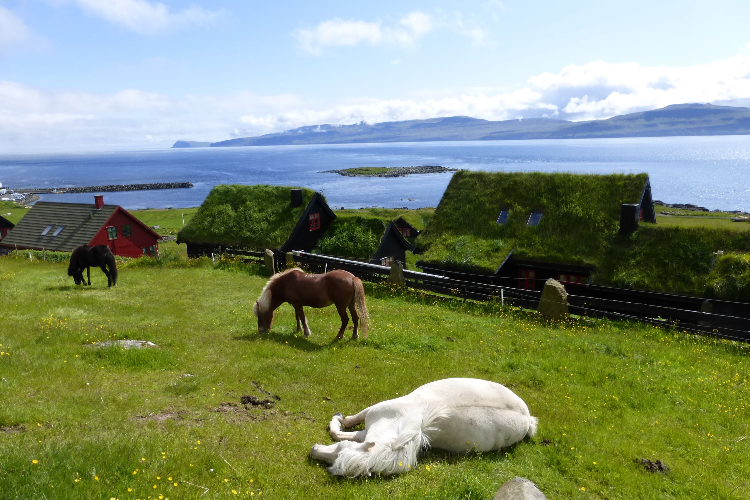 Faroes Kirkjubor