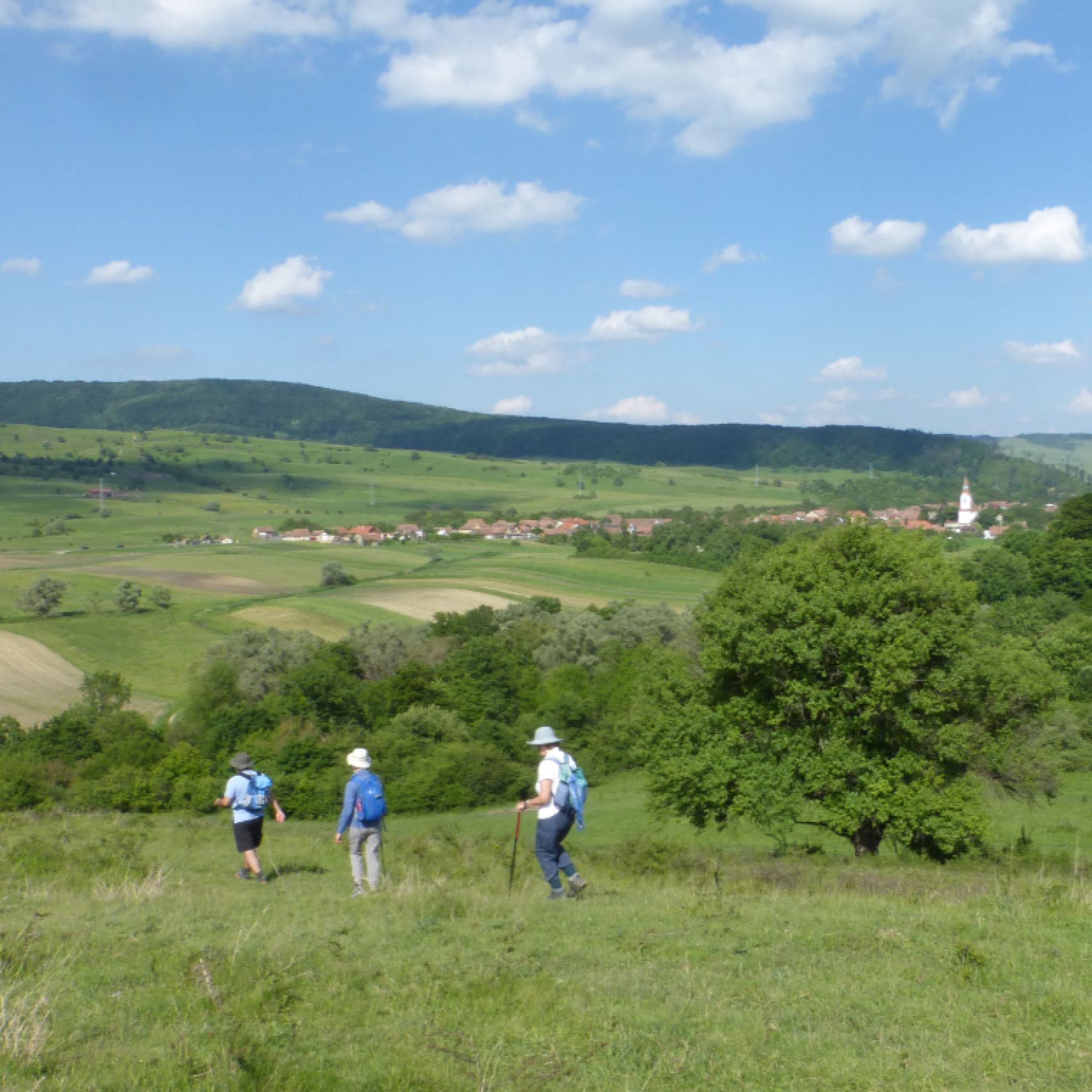 Romania Bunesti walk