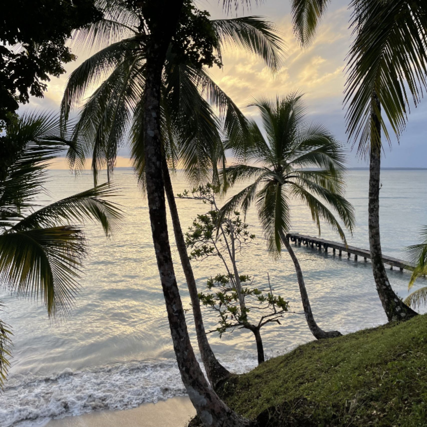 Panama Bocas del Toro