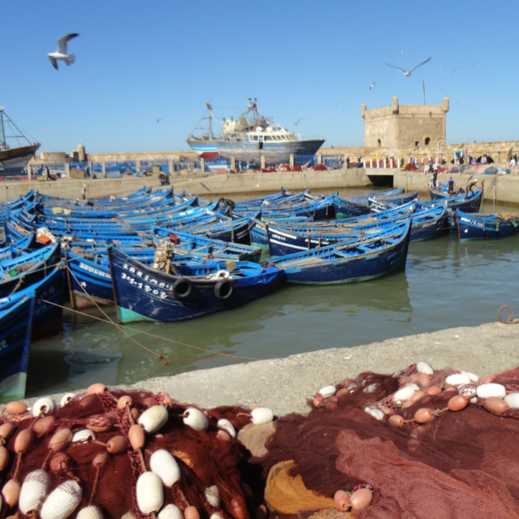 Morocco Essaouria fishing harbour