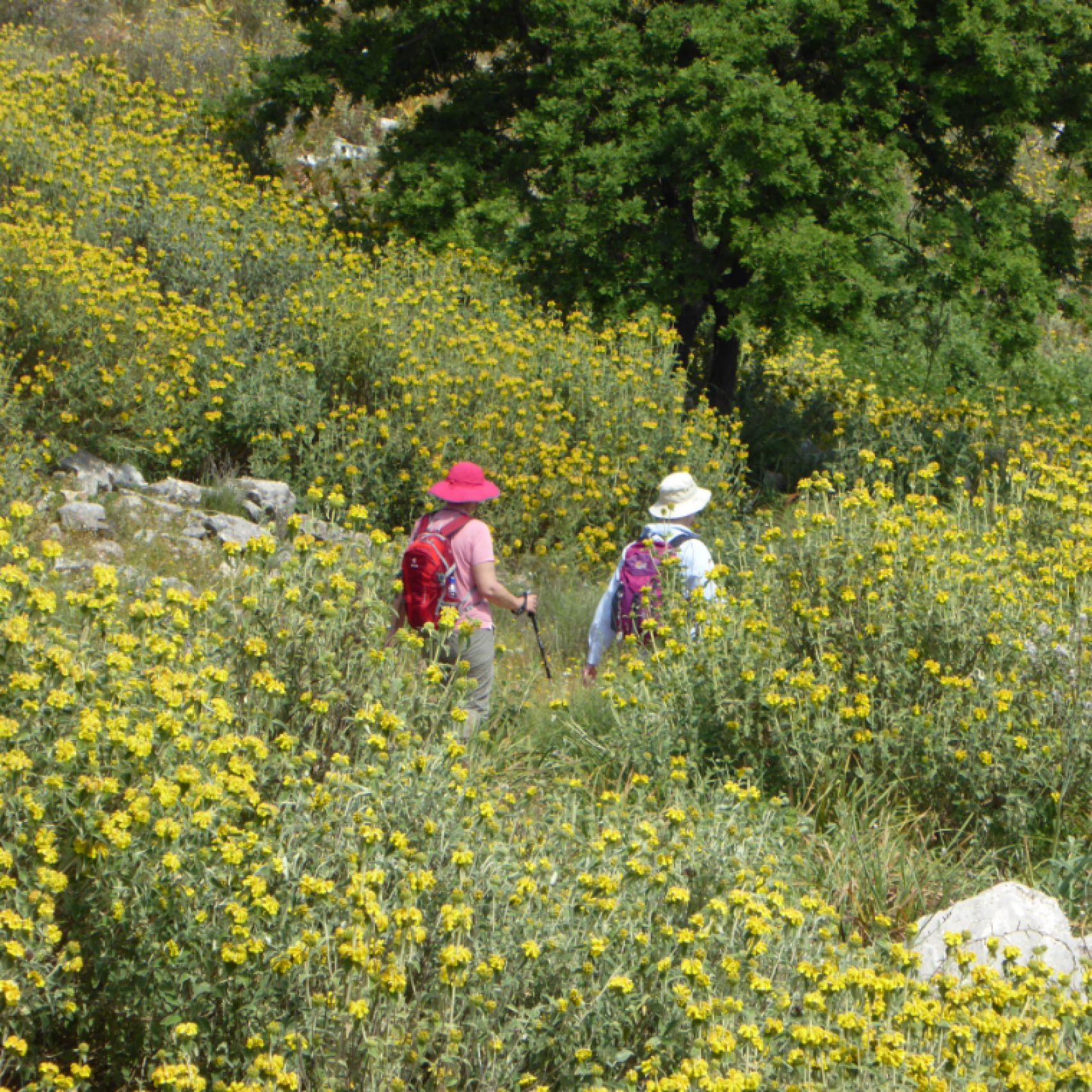 Corfu walkers