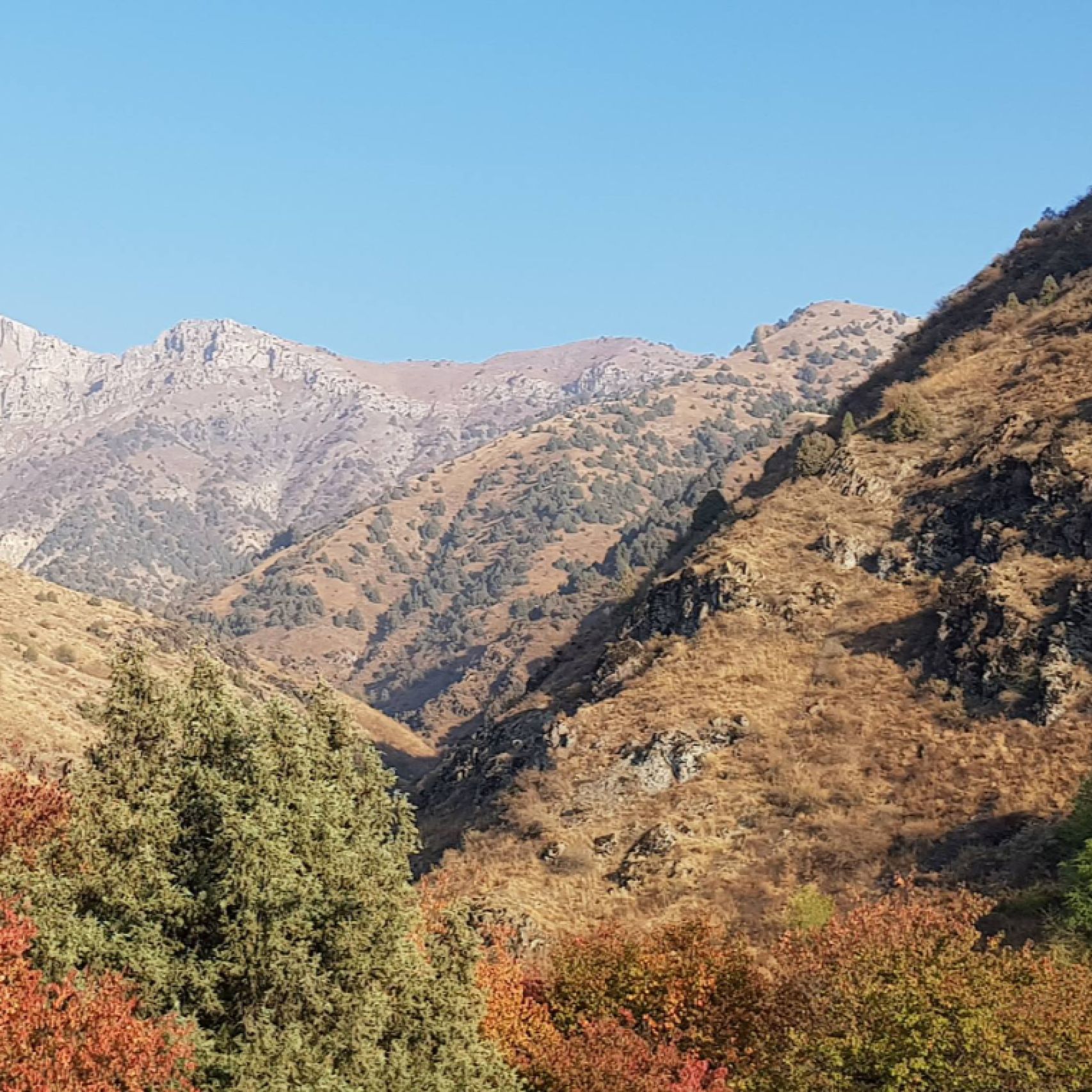 Uzbekistan mountain road