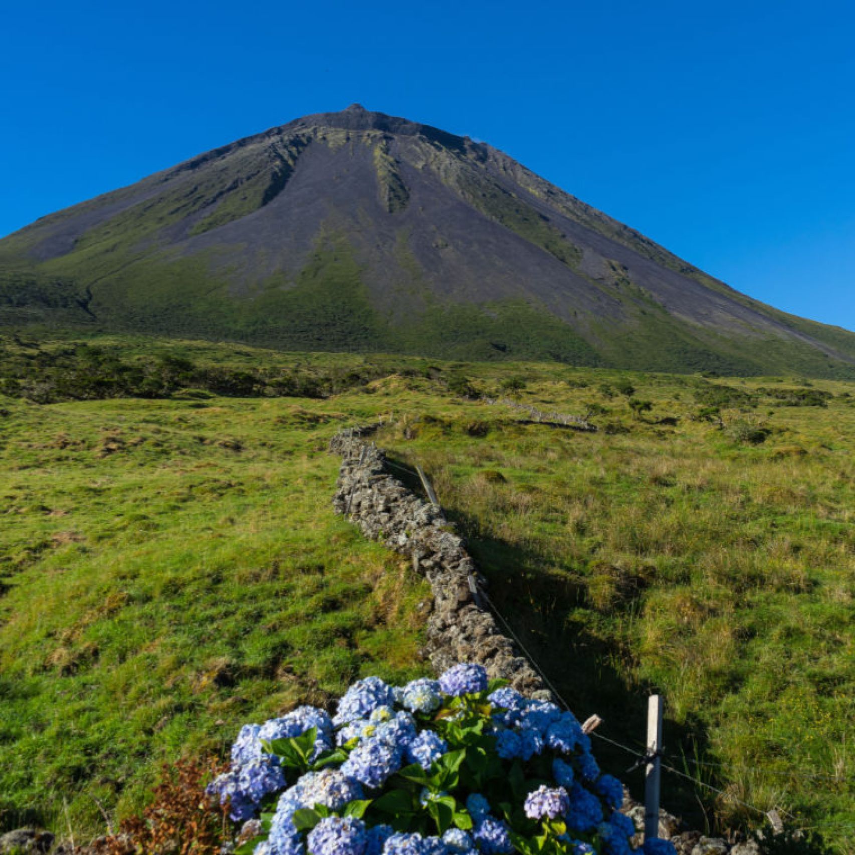 Azores Pico