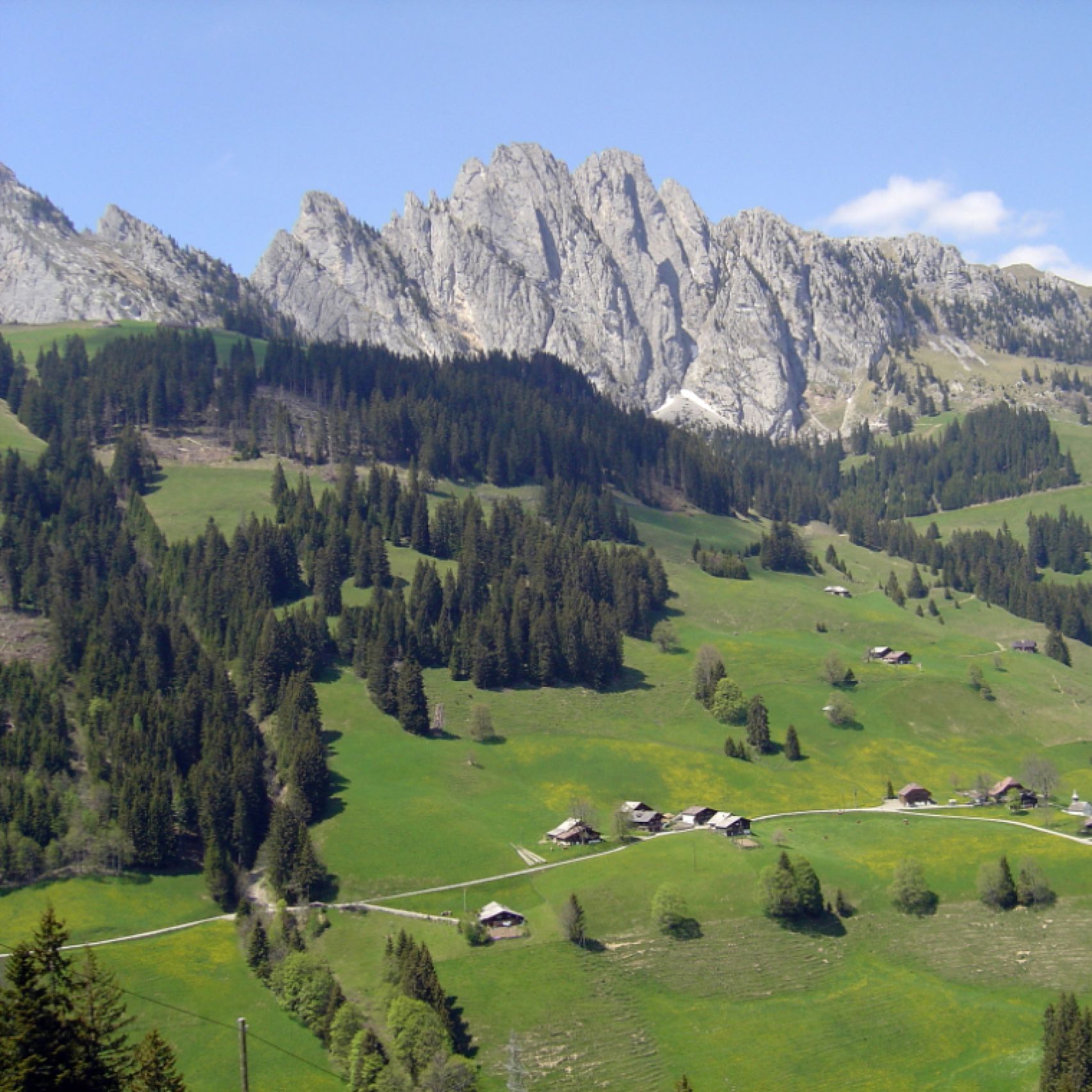 Gstaad Alps