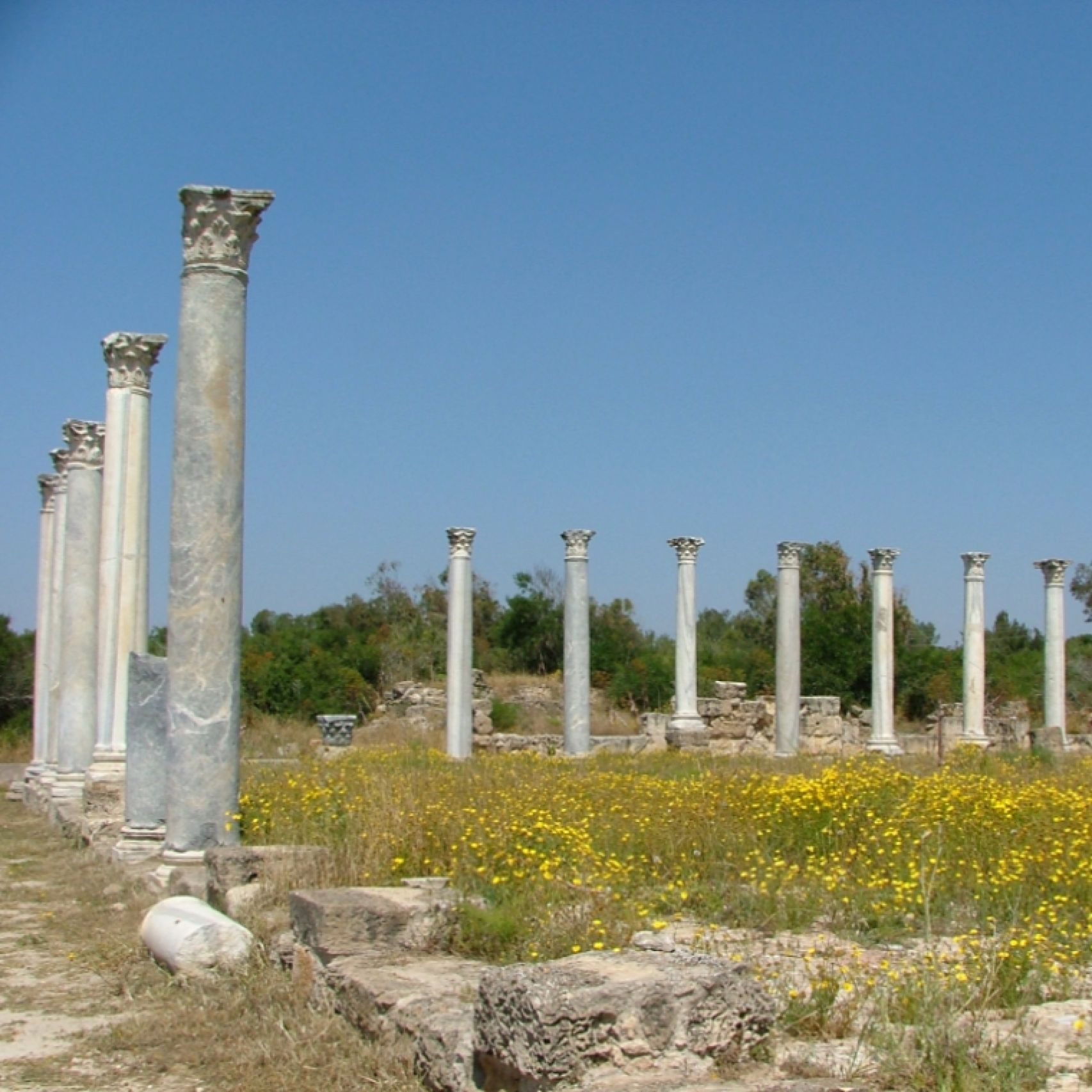 North Cyprus Salamis