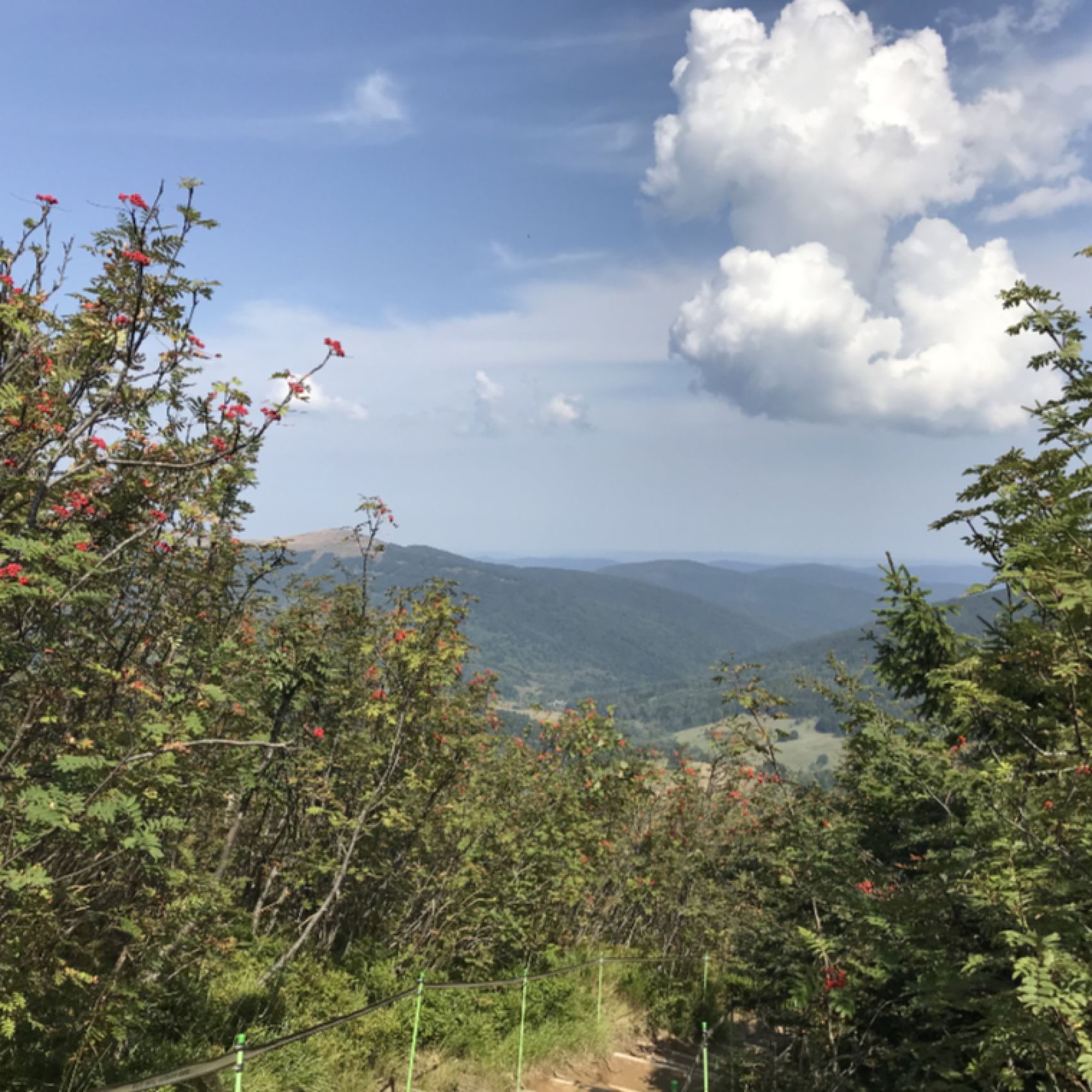 Poland Bieszczady