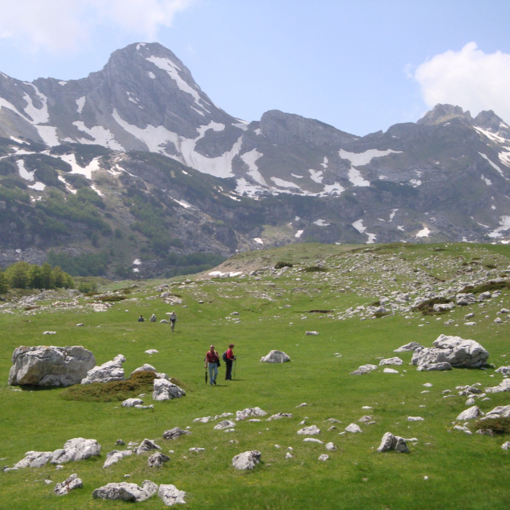 Montenegro pass