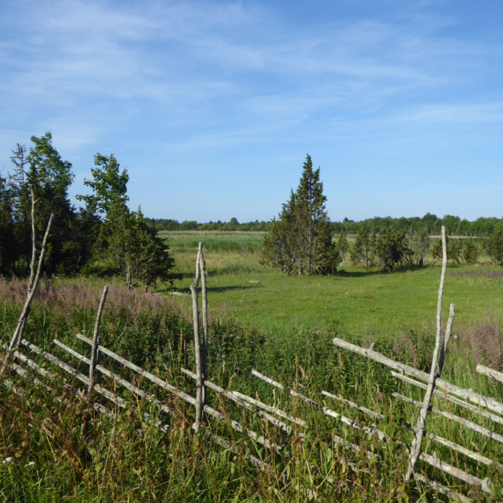 Estonia wooden fence