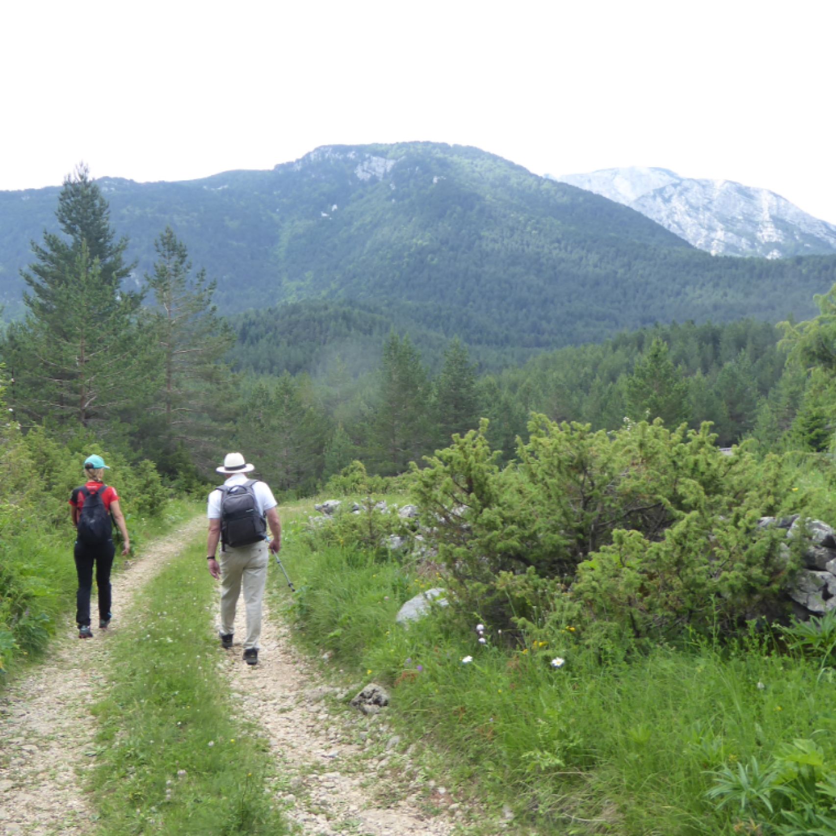 BiH Blidinje walk